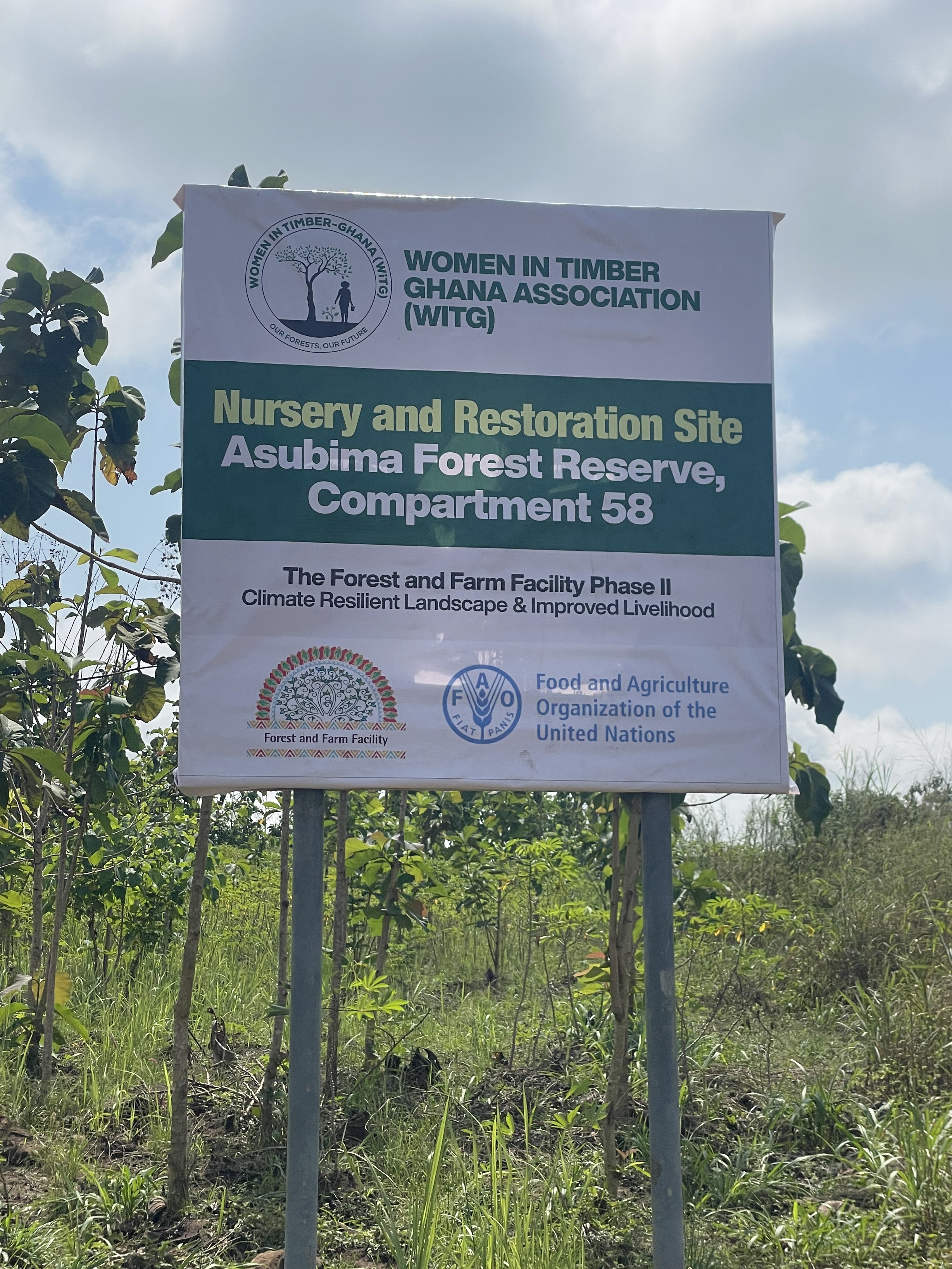Active Tree Planting and Land Care, Bono East